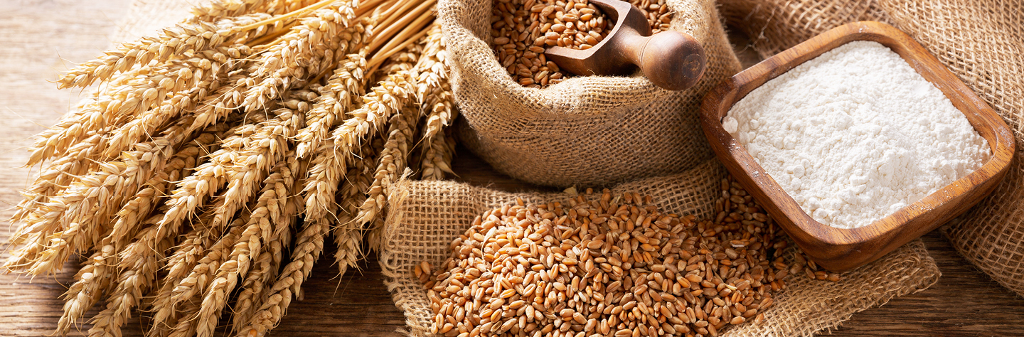 QUELLES CEREALES EVITER ET LEURS ALTERNATIVES