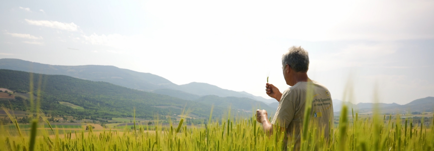 DECOUVREZ ORIGIN’INFO