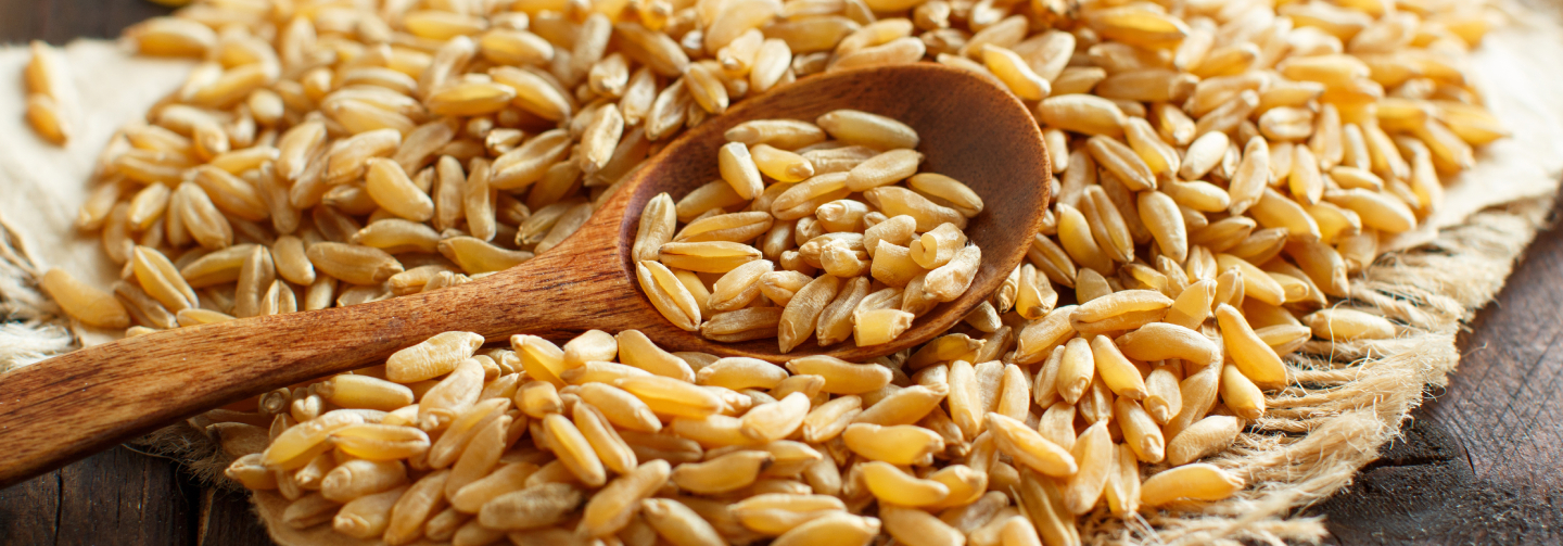 POURQUOI REVENIR AUX CEREALES ANCIENNES ?