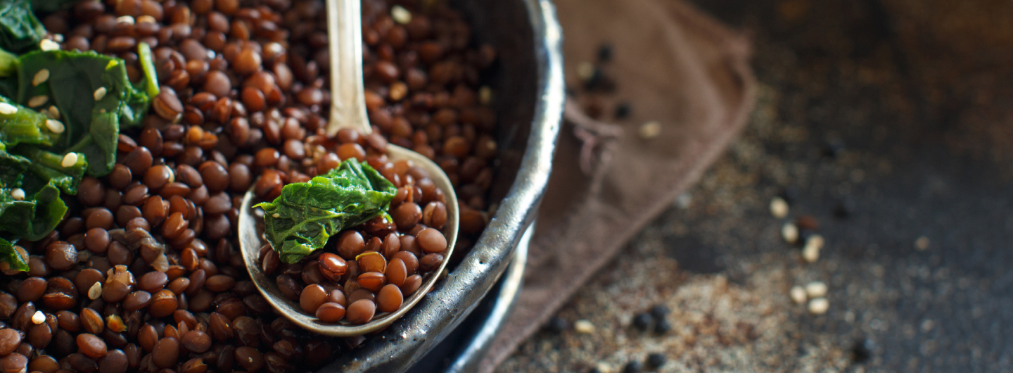 LES LEGUMINEUSES DANS NOS ASSIETTES : NUTRITION ET USAGES CULINAIRES