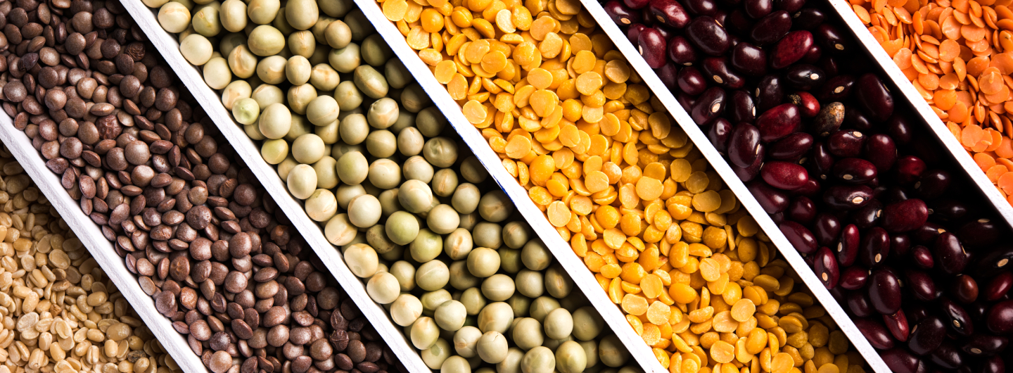 LES LEGUMINEUSES AU CŒUR DE LA TRANSITION ALIMENTAIRE